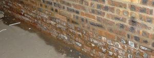 Nottingham Damp Proofing rising damp banner image